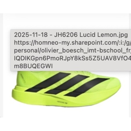 Chaussures de course conçue pour la vitesse et le confort